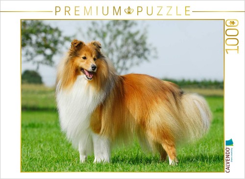Calvendo puzzle ein motiv - puzzle,