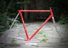 Pinarello Treviso GPX Frame / 54,5 cm / Red / Campagnolo gavia montello asolo