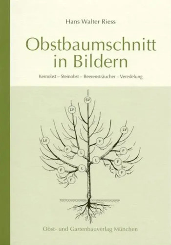 Obstbaumschnitt bildern - obstbaumschnitt,