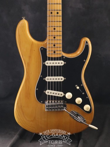 Fender usa 1976 stratocaster - fender,