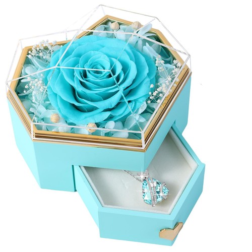 Ewige rose mit herz schmuck - ewige,