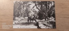 Postkarte Marabout dans l Oasis ungel_