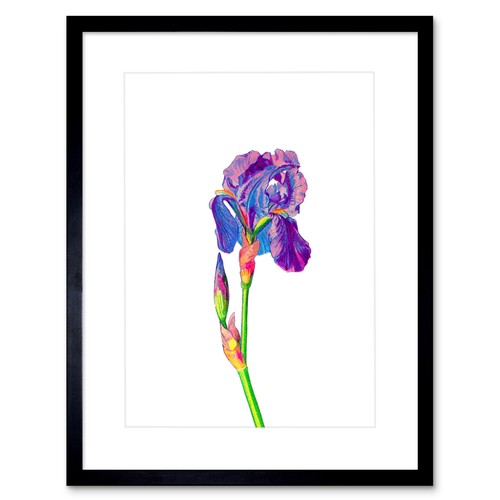 Vintage bright botanicals iris - vintage,