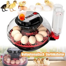 Inkubator Brutkasten Brutmaschine Vollautomatisch Brutapparat Brutautomat Küken