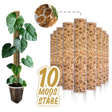 Moosstab 35 cm (M) –