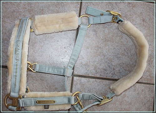 Eskadron halfter wb - gr.,