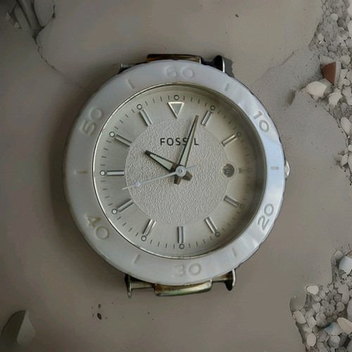 Fossil keramik 1030 - fossil,