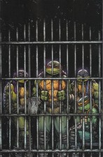 Teenage Mutant Ninja Turtles Nr 11 Neuware IDW 2025 new 1:10 Variant Cover
