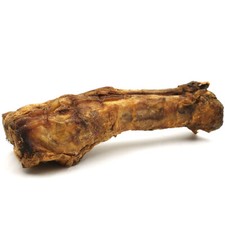 Pferdeknochen Pferdebein mit