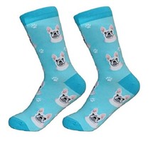 Französische Bulldoggen