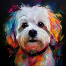 Poster Bild Kunstdruck