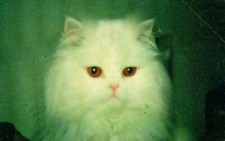 Telefonkarte Prototyp Test