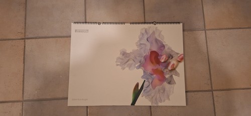 Original pirelli kalender aus - kalender,
