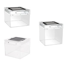 Reptilien-Terrarium-Zuchtbox