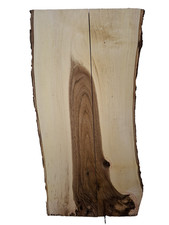 2x Nussbaum Ast Bohle Brett