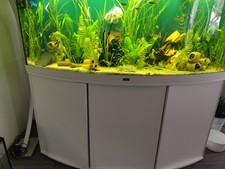 Juwel Vision 450 Aquarium Komplett . Online nur noch bis 7.11.25 