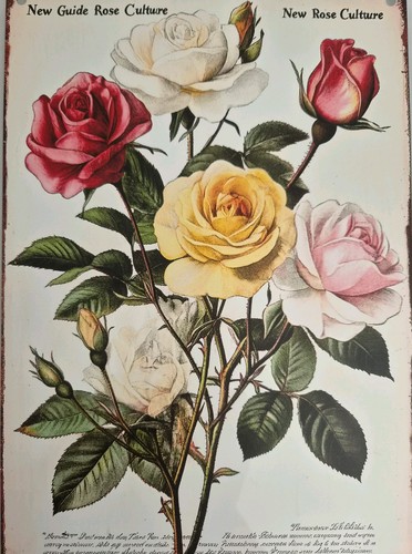 Wandbild-Blechschild