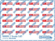 TRUCKMO Decals Ginsberg