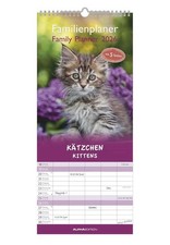 Kätzchen Familienkalender