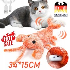 Interaktives Katzenspielzeug