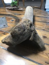 Treibholz Schwemmholz Dekoration altes Holz Tischdeko basteln Ast bastel dekorie