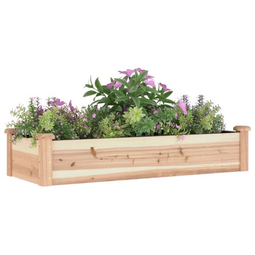 Blumenbeet kräuterbeet - blumenbeet,