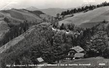 ALPL  (Waldheimat) GASTHOF  LEITNER  (Holzbauer) - Steiermark   1960