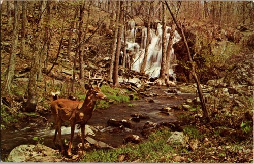 Franklin lakes postcard - lakes,
