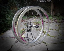 Campagnolo Shamal 12 HPW / 8