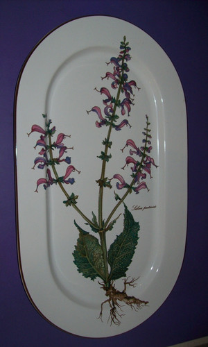 Villeroy boch botanica - villeroy, &