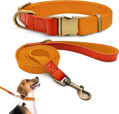 Hundehalsband und leine set - hundehalsband,