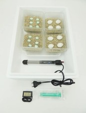 Campo24 ST1 Reptilien