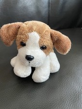 kleiner Bernhardiner-Hund