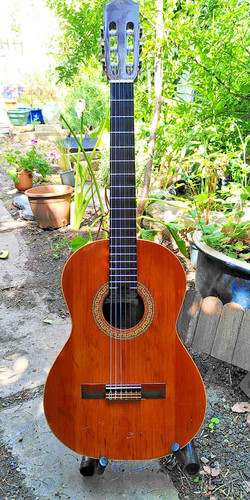 Alhambra solid cedar top - solid,
