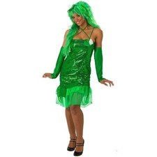 KARNEVAL FASCHING KOSTÜM