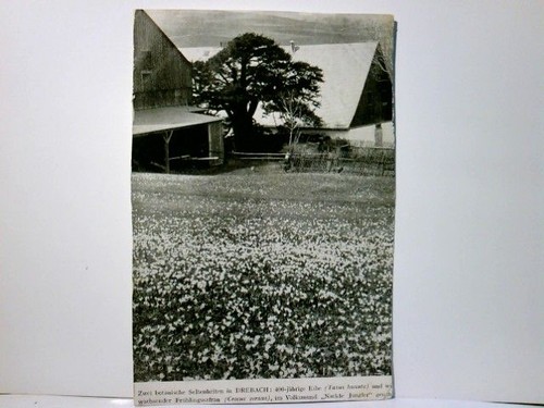 Drebach sachsen - drebach,