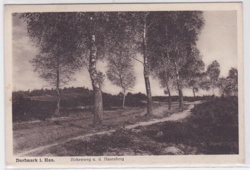 59745 dorfmark han - i.,