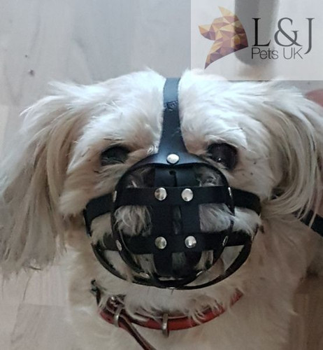 Leder hund maulkorb für - maulkorb,