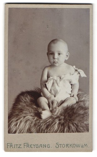 Fotografie fritz freygang - fotografie,