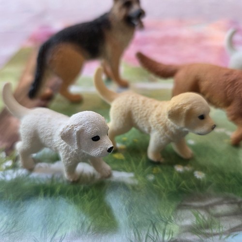 Schleich tolle hundefamilie - hundefamilie, 5