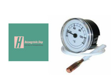 Vaillant Thermometer 101002