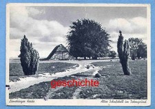 AK - Lüneburger Heide -