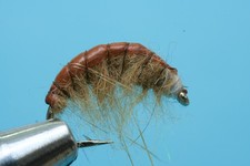 Fliegentom Nymphe 3 Stück