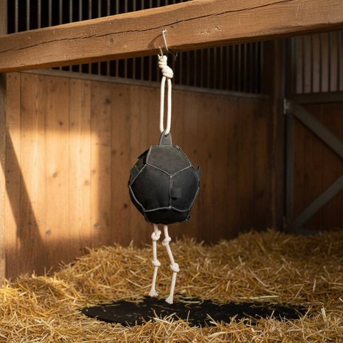 Pferd heuball langeweile - pferd,