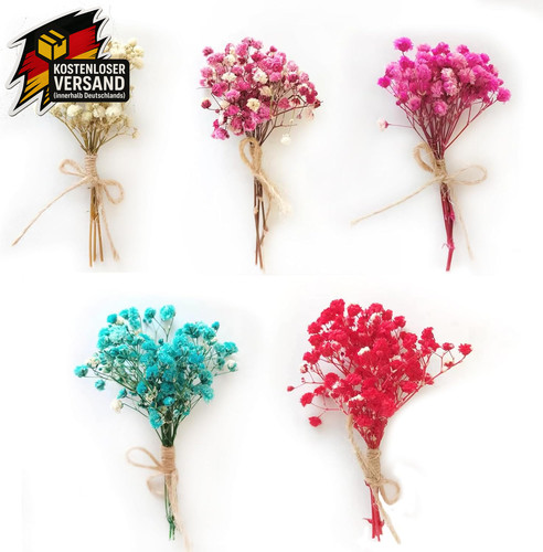 Getrocknete trockenblumen set - trockenblumen,