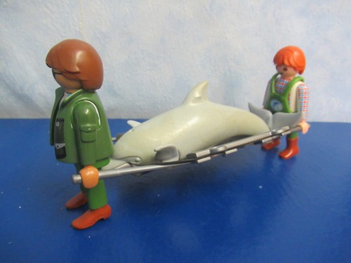 Delfin trage tierpark - delfin,