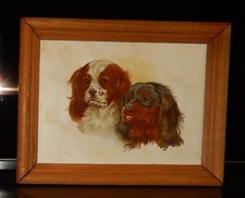  Porzellan Bildplatte Bild Hunde