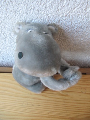 Nilpferd flusspferd hippo - nilpferd,