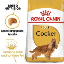 Royal canin cocker - 12,