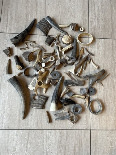 Hornreste geweihreste - geweihreste,